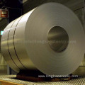 Durable Popular 310s Stainless Steel Coil